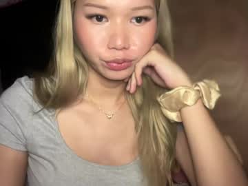 alissonharvard
