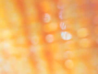 angeles_blue23