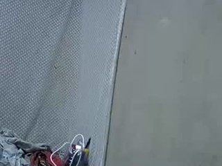 bigclit_wethairypus
