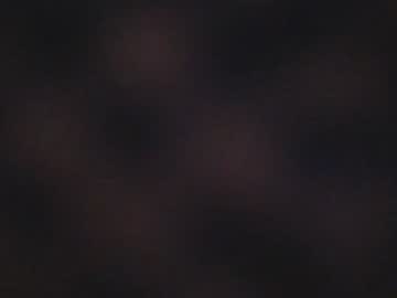 billbrasskey4200