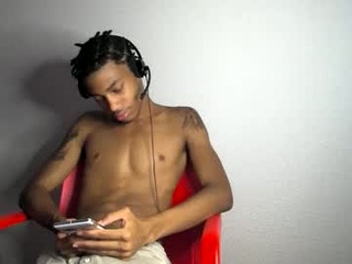 blackbulltitus