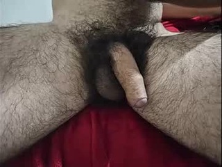 bomvemcam