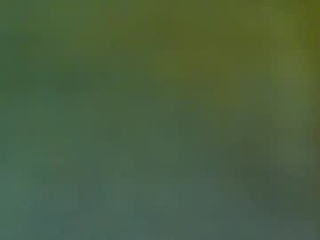 bonershow
