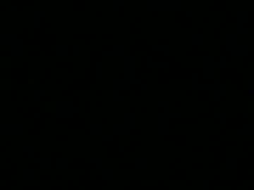 bronextdoor3