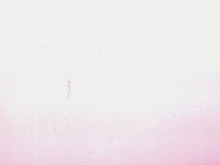 candyrose_res