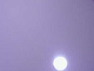 caroline_joyce