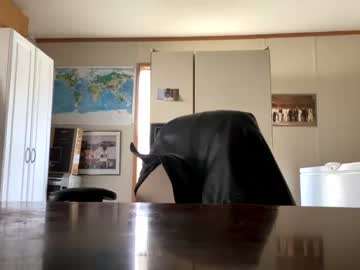 curvyplayday