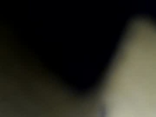dixienormouss12