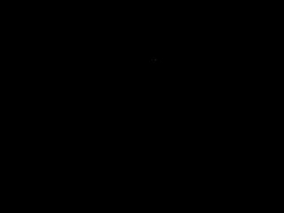 donomex