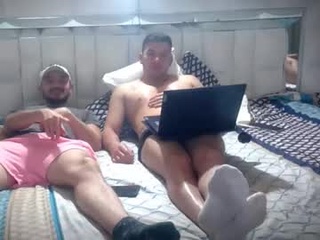 elgatolive4