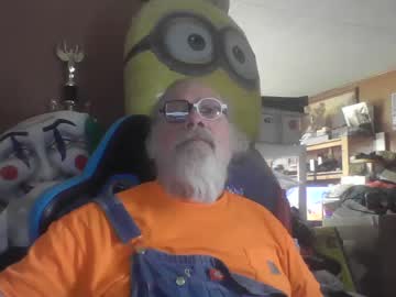 fatfreddythecat
