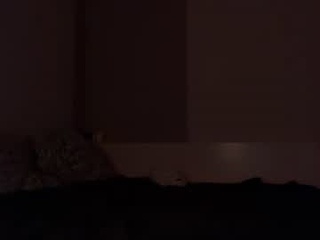 fistandfan