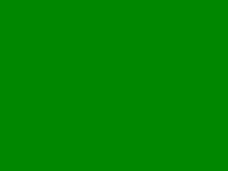 fotzencommander