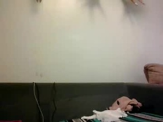friskybee