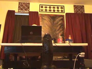 gatewaylaptop2019