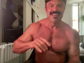 gorilla_beast