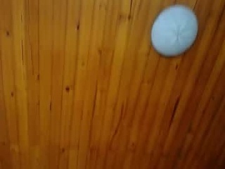 haileysmitt_