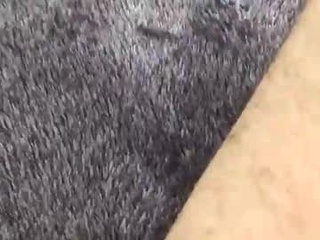 hardnbed