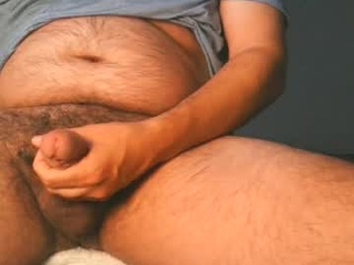 harrycakes