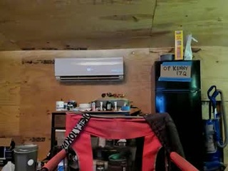 heretodaygonetomorroww