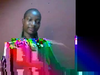 honeycee_petite