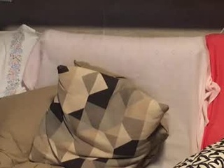 hornypornythings