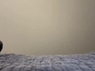 hunchocuavo