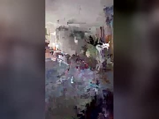 hungbull81
