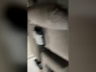 ianmacgregor123