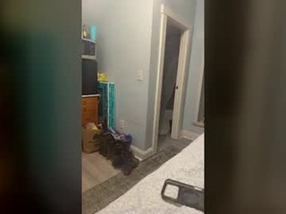 jbvgnnbvghbnb