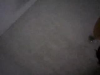 jesps0