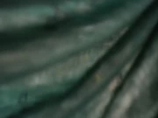 johan_kitten