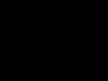 jpav219