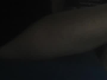kekszem1