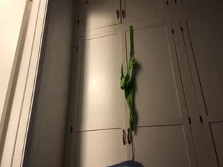 kinky82_4u
