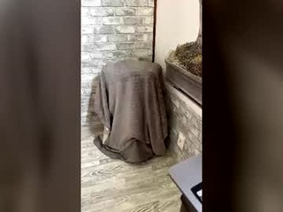 kontokonto