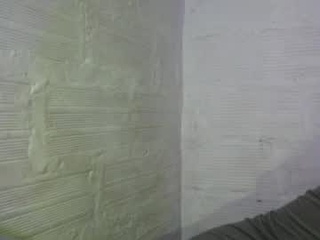 kush_stefany