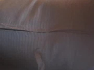 l1t0250