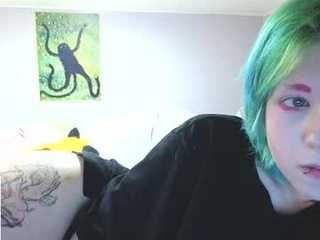 littlekittenstar