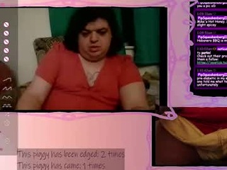 lollipop_swallows