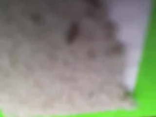 never_forget_this