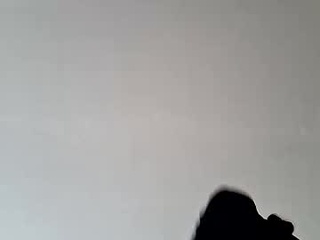 nixotee