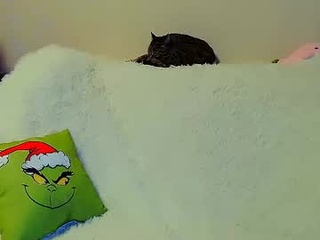 not_nakedcat