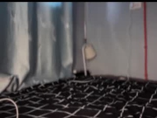 nova_blair0