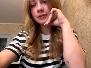 novacassisse