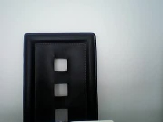 palaceje