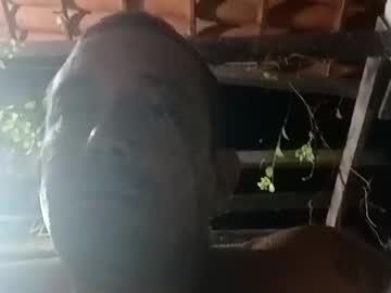 perigosotarado1