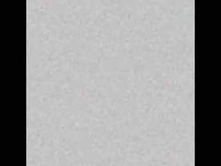 pussy_free_white_boy