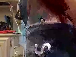scpttbigcock