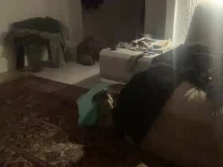 sexybdsmboy